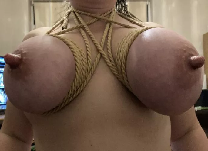 Suckle them by Swansea42