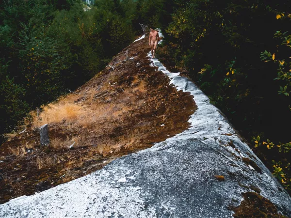 Summer had inhaled and held its breath too long by 4_arms