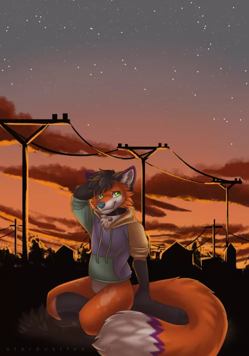 Summer nights (art by @StardustFoxArt) by kileythefox