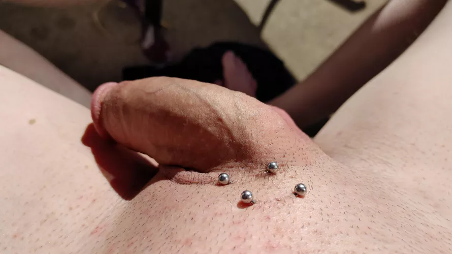 Sun bathing on the portch, in an apartment complex. [M] by designed4h311