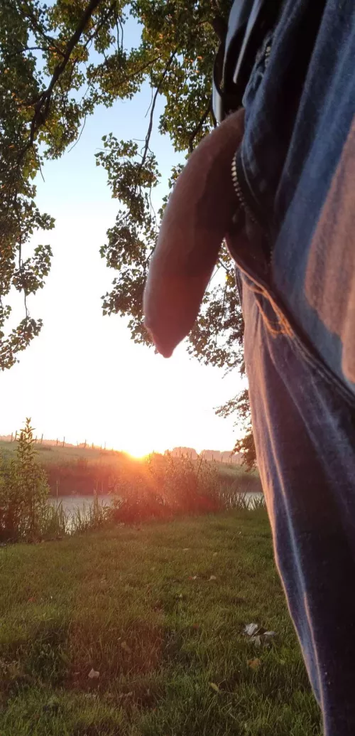 Sun is up, cock is out. I don't make the rules. by kingforeskineu