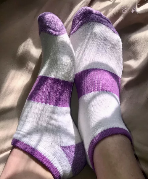 Sun nap for these beauties xo