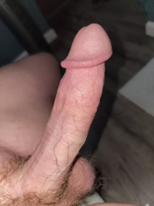 Sunday funday by Doggyboy332001