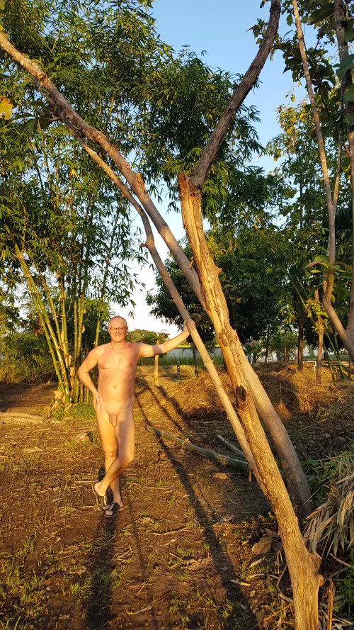 Sunday late afternoon, I love the hour before sunset by znarf-fesoj