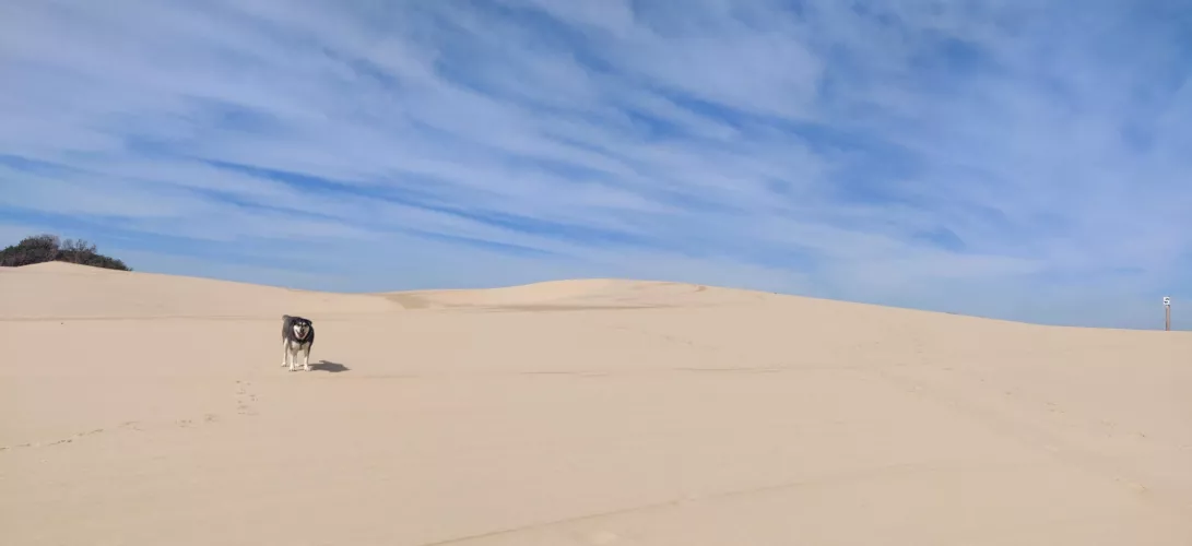 Sunday Mid walk by pavred8888