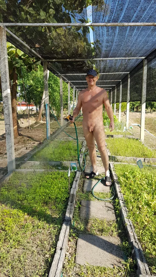 Sunday morning work by znarf-fesoj