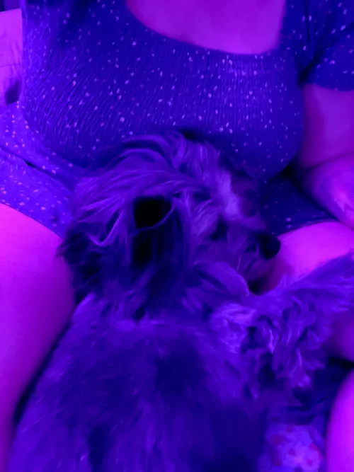 Sunday night cuddles with my BFF by BuffyExperiment