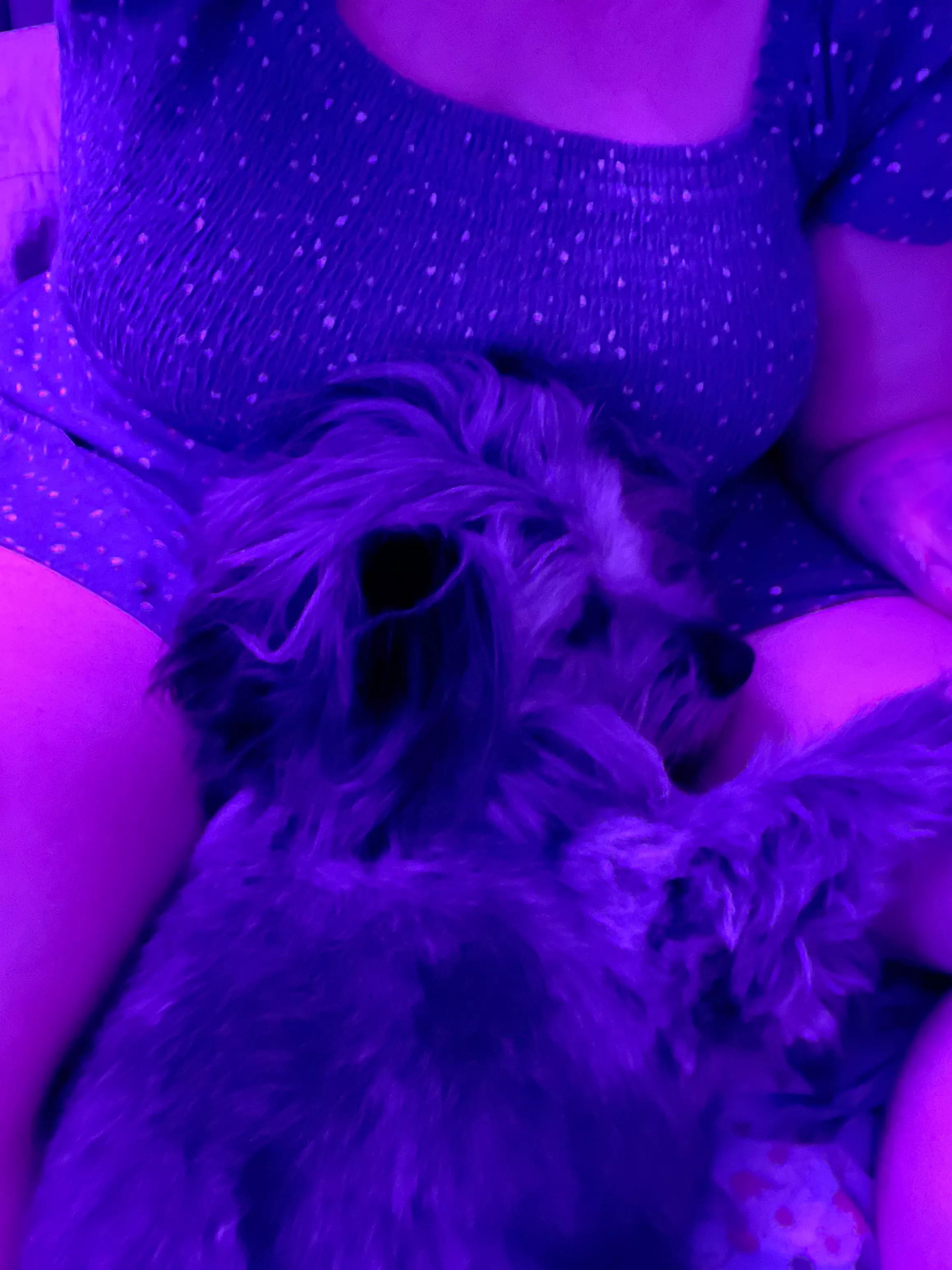 Sunday night cuddles with my BFF posted by BuffyExperiment