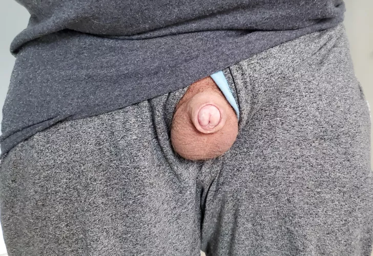 Sunday snapshot [41] by shortshafted1