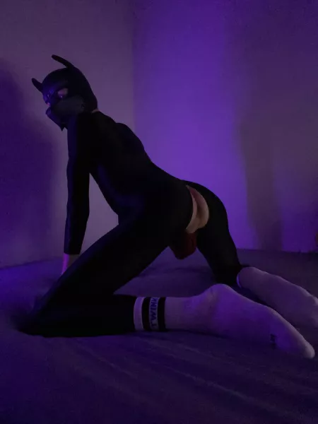 sunday-pup 🐾 by puppyrufus