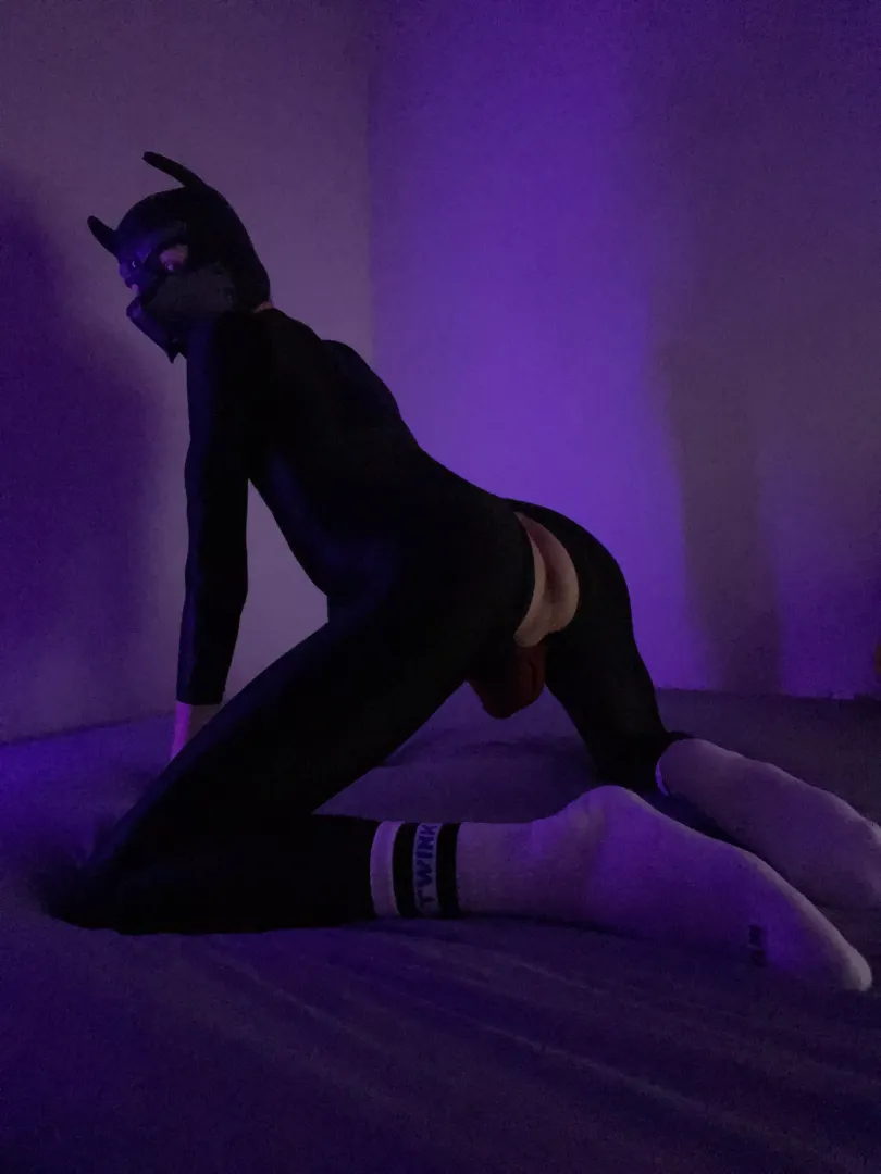 sunday-pup 🐾 posted by puppyrufus