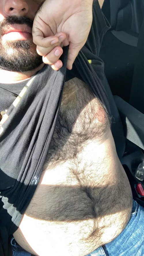 Sunny day 🐻 by patoi91