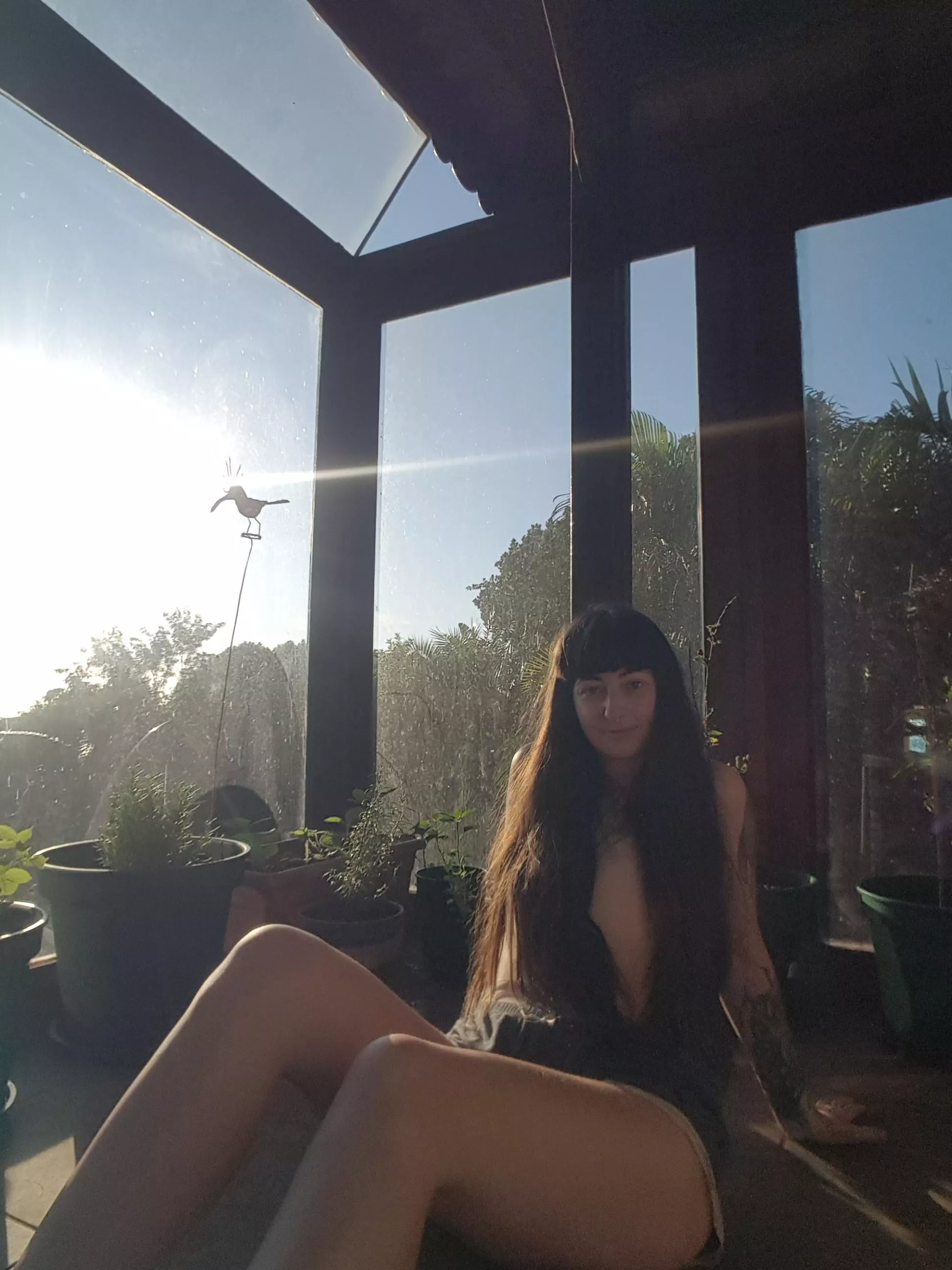 Sunny morning's call for outdoor sex 🌅 [f] posted by Scarlet-is-here