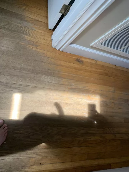 Sunny out today by choseford2019