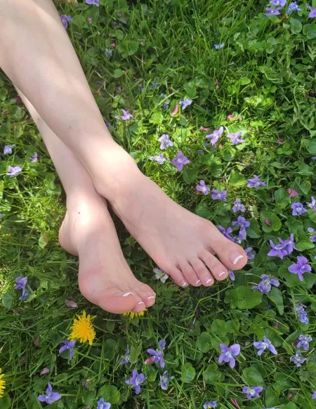 Sunny side up 🐾🤤 by mycelium_mother_