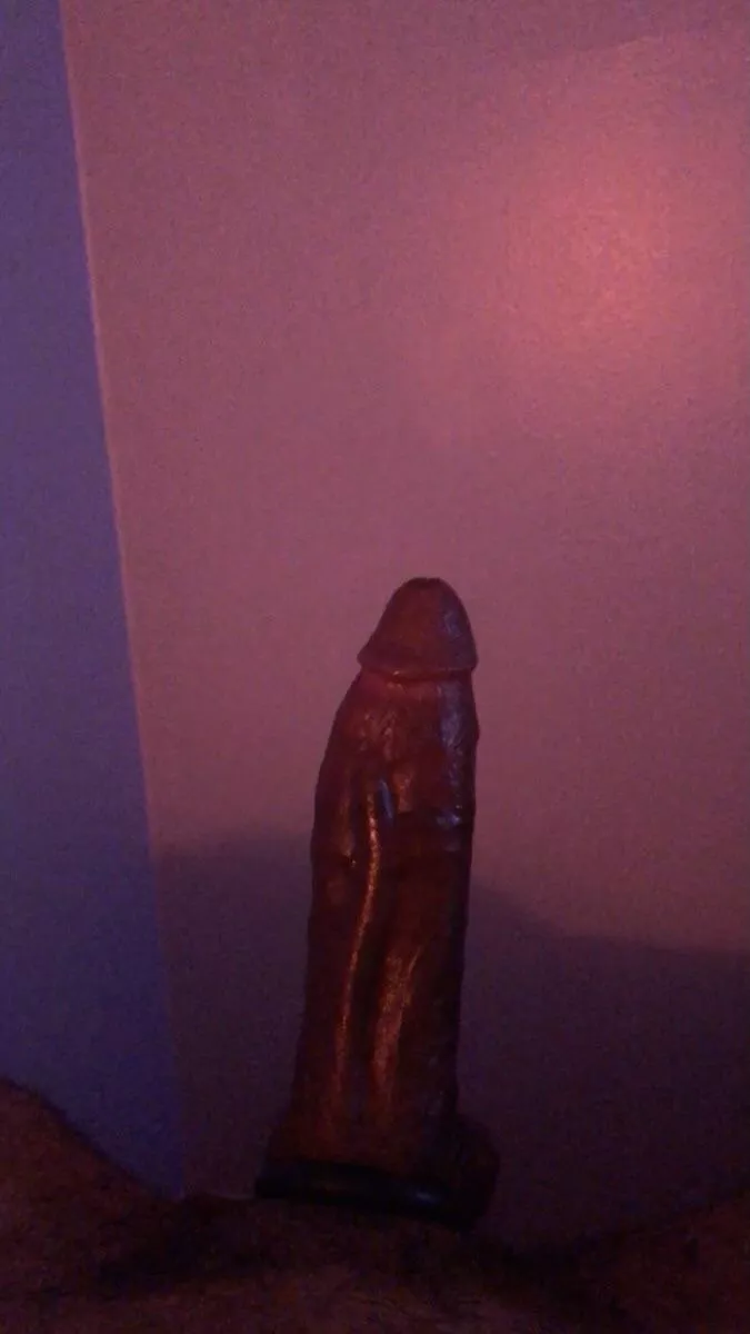 Sunset vibes🌅 posted by veryboredguy101