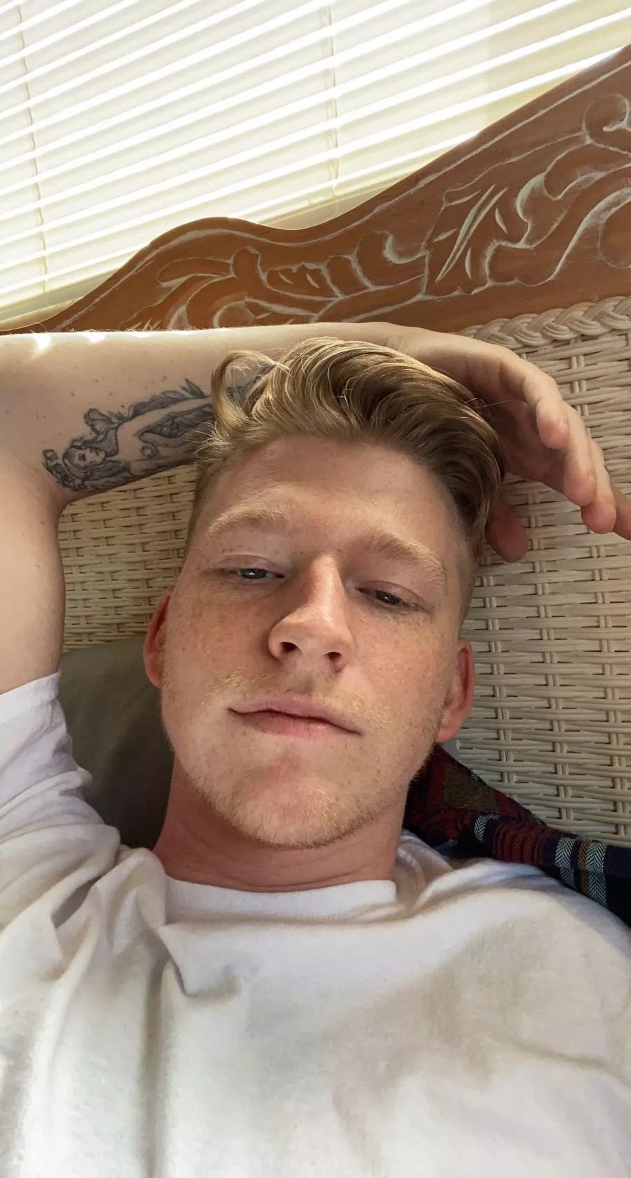 Sup fellow gingers posted by pickledpear69