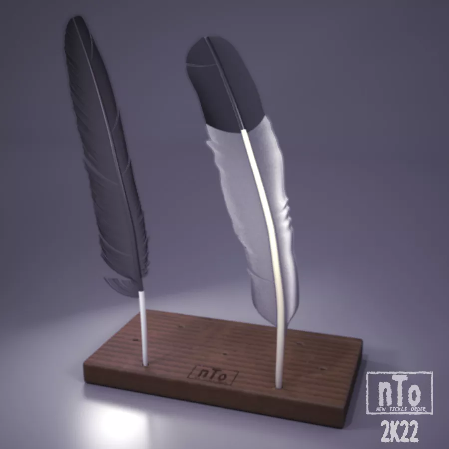 Super Feathers for the Super Bowl! posted by newTickleorder