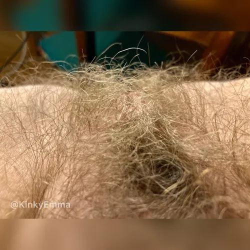 Super hairy! Wanna feel my curls on your face? by Kinkyemma00