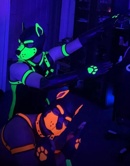 Super Pup Fist-Force Assemble!! by Pup_Piston