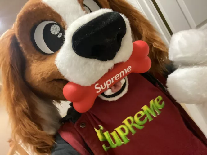 Supreme Pupper by Tigerwolf130
