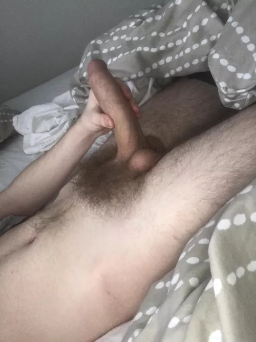 Surprise by Cavvy1243