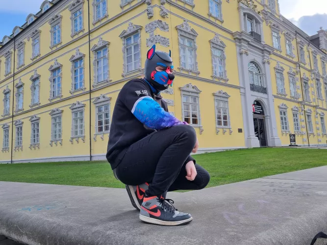 Swagger pup by MagicTentacle