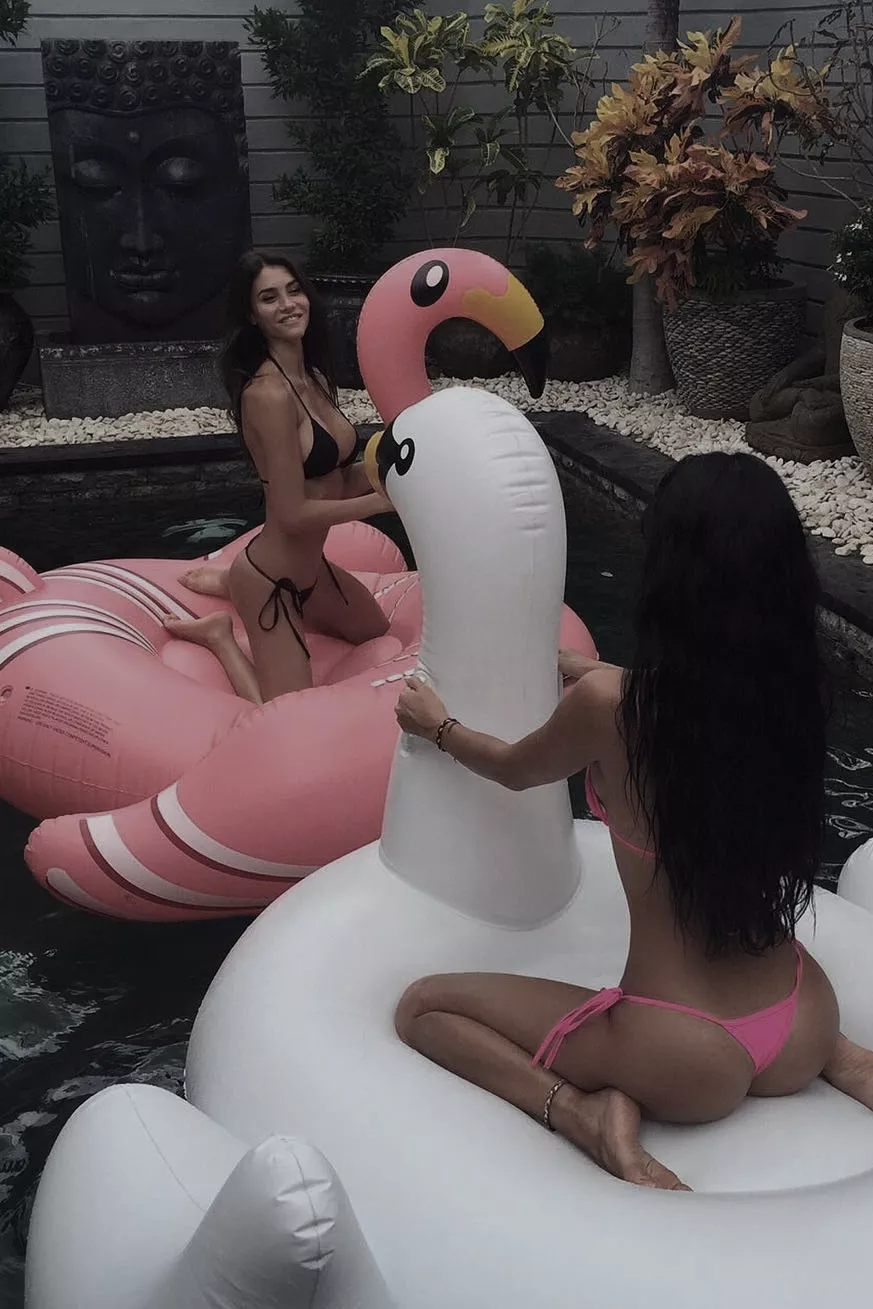 Swans posted by trashableaccount1