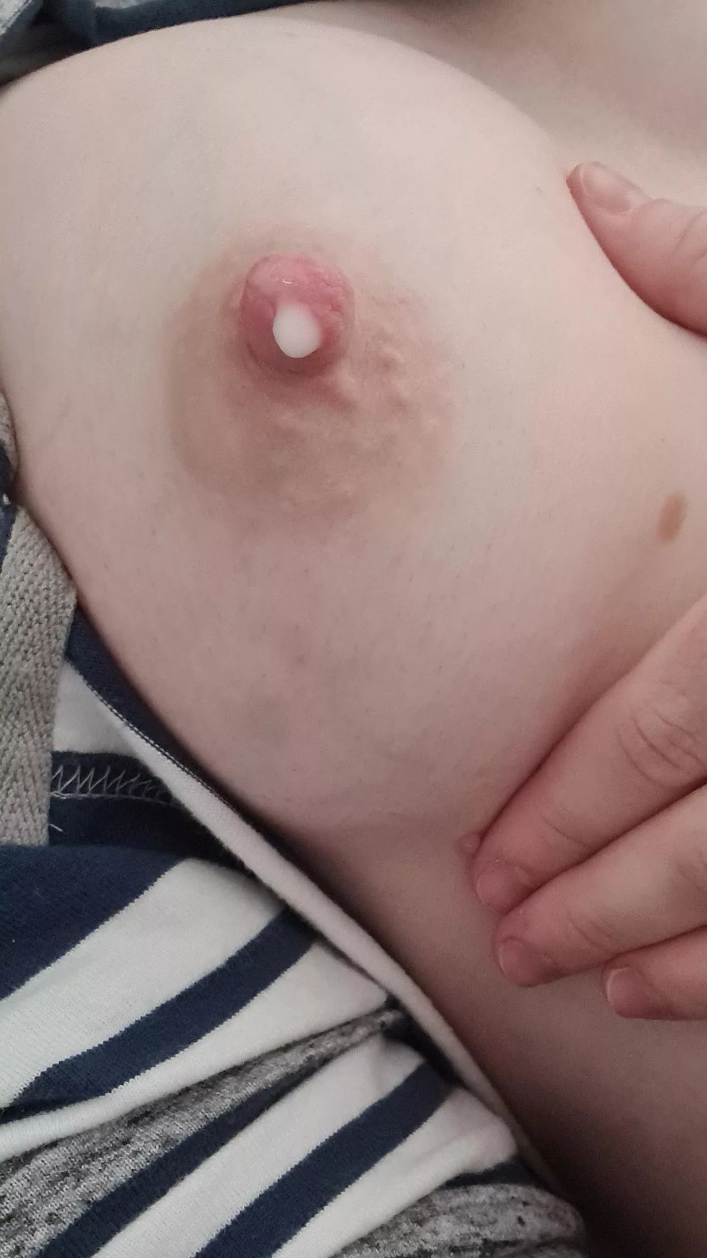 Sweet and creamy posted by kates_kitty