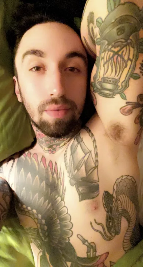 Sweet dreams. by loveulikeareptile