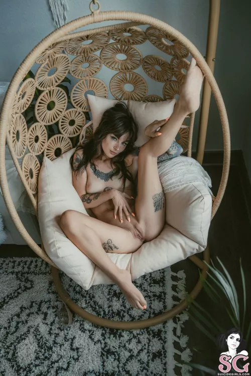 Synatra by Trvlnfb1142