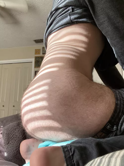 Take a bite of this hairy peach 🍑 😛 by shortthickhairybttm