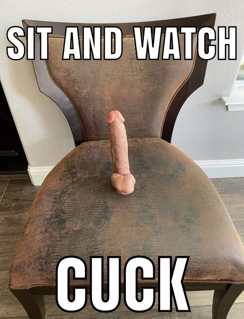 Take a seat…. by GroundbreakingDare75