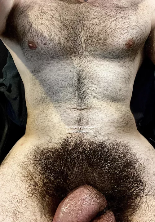 Take a seat on my lap? by Antonioxgambino