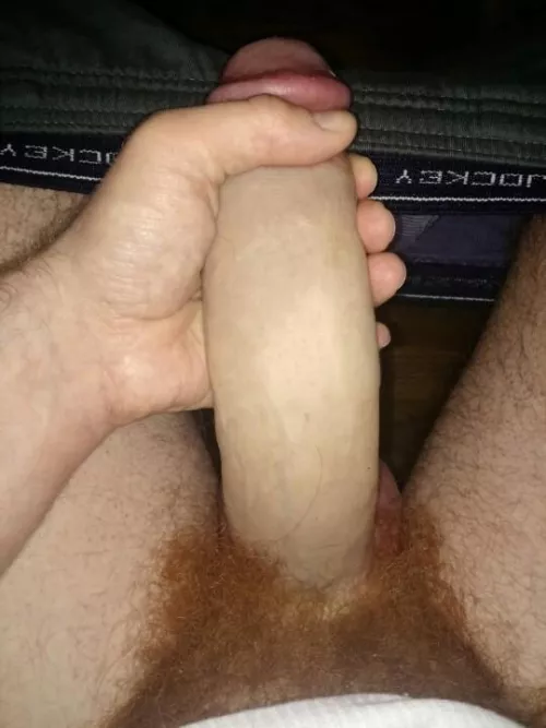 Take it all the way down to my ginger bush by okelijahm