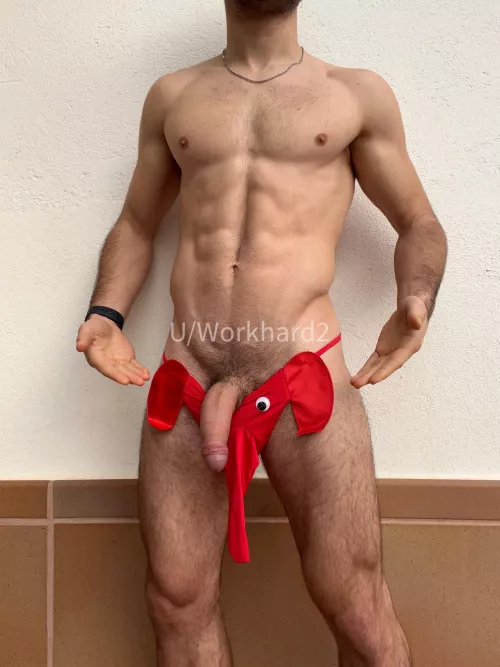 Take the trunk! by WorkHard2