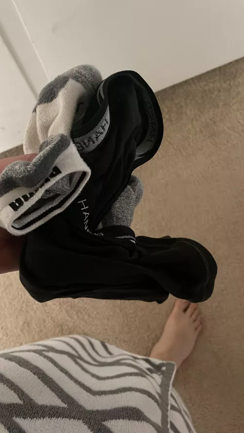 Take your pick at which you wanna sniff by RLand462