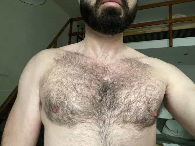 Take your pillow have some rest by hairytale30