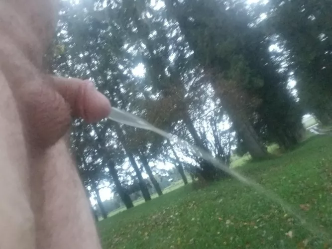 Taking a leak while out and about this morning by joe5152