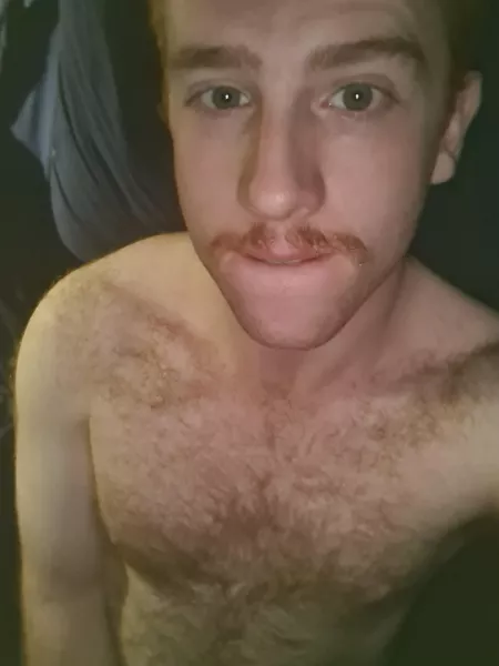 Taking a quick break anyone want to help out by Gingerguyslikes