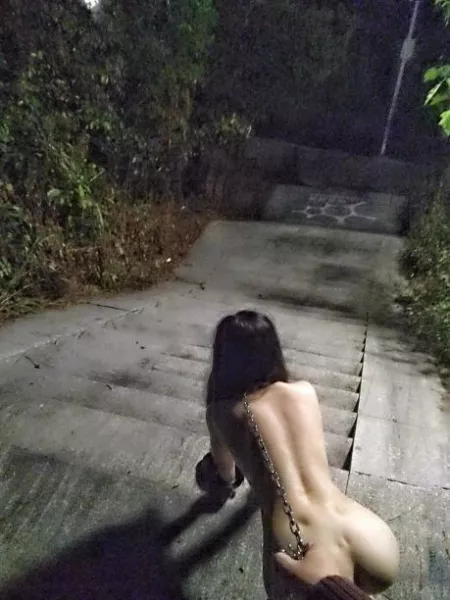 Taking her for a walk 🌙 by Much_Physics406