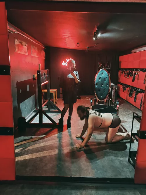 Taking my dog on the walk by Good_Owl4076