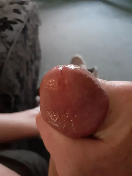 Tassie Guy by Vegetable-Avocado862