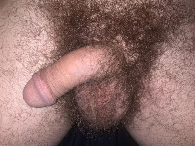 Taste my hairy forest? by ahhsf8