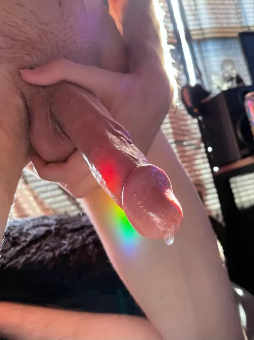 taste the rainbow by Dominants