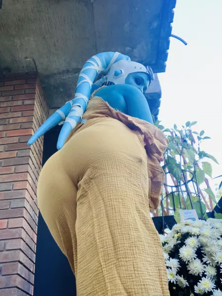 Tatooine Twi’lek (Peony Felicity) by peonyfelicity