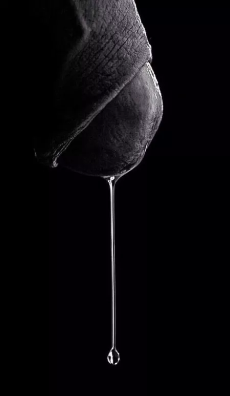 Teardrop by taylor_the_impaler