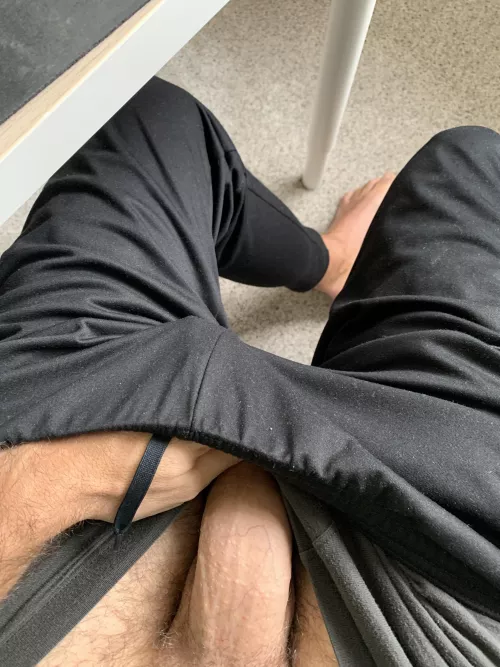 Teasing some online friends by MenloBull