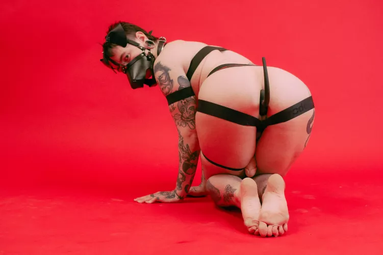 tell me I’m a good boy ❤️ by pup_lukas