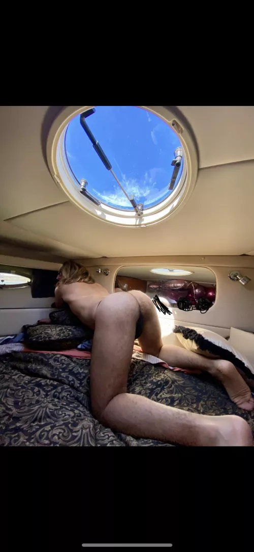 Tell me what would happen next… by GardenMan2020